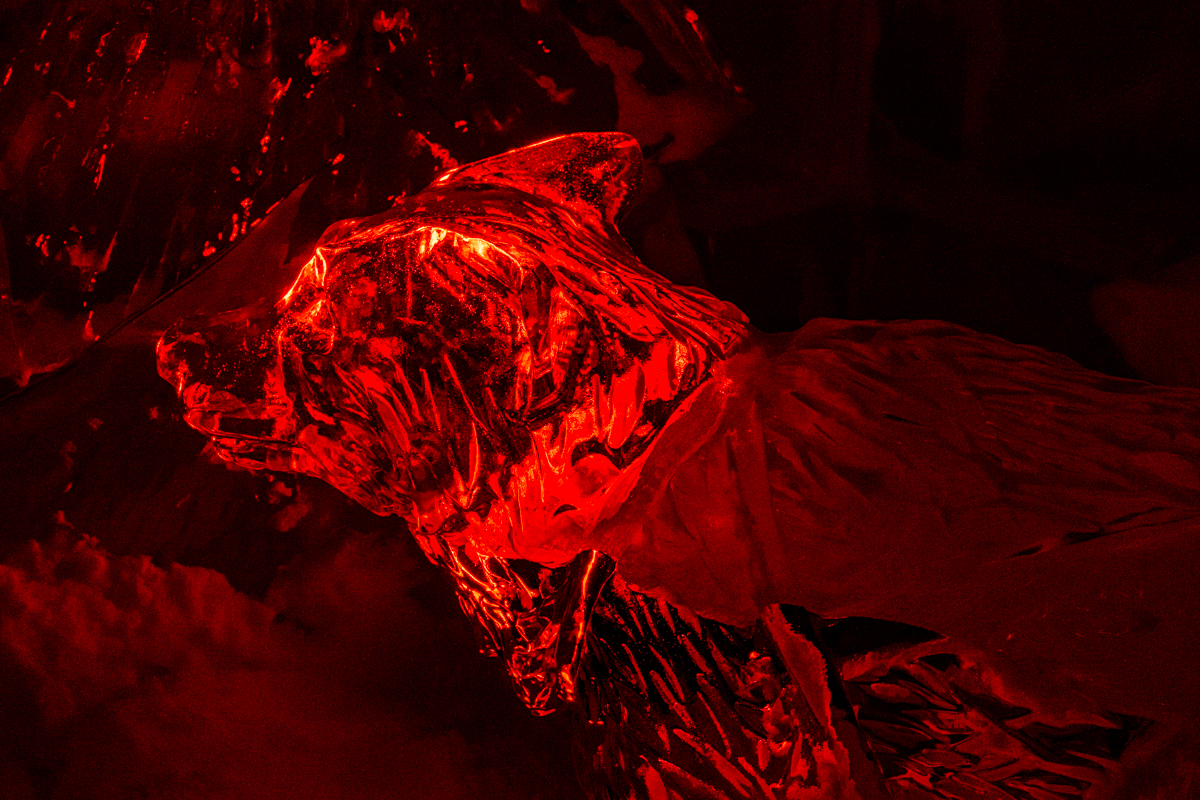 Waldrum Stuart Ice Wolf Pictorial   Class A 20260121